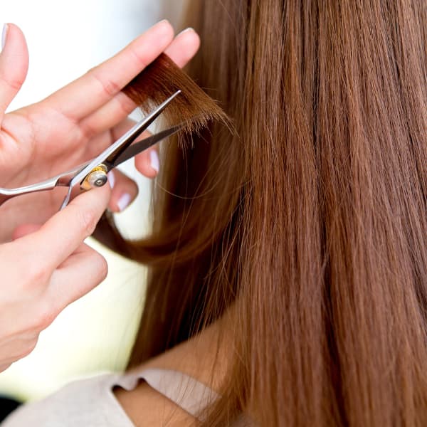 haircut in Lincolnshire IL